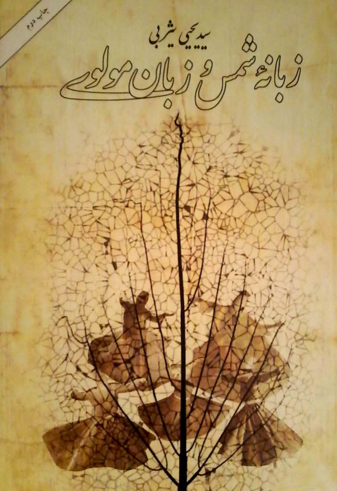 زبانه‌ی شمس و زبان مولوی